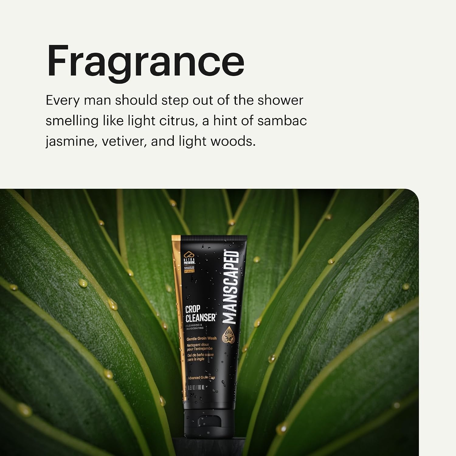 image:imageMANSCAPED Crop Cleanser Groin Wash Mens UltraPremium Invigorating Formula for BelowTheWaist Cleaning Refreshing Shower Gel For Men Infused with Vitamin E and Aloe Vegan body wash 6 oz6 Ounce Pack of 1